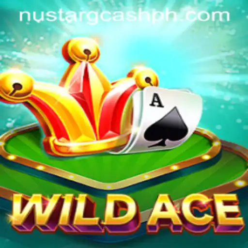 Unleashing the Thrills of WildAce: A New Era in Gaming